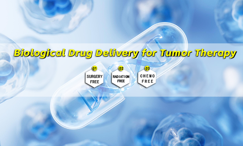 A technique that uses biological drug loading to treat tumors, without surgery, chemotherapy, or radiotherapy.