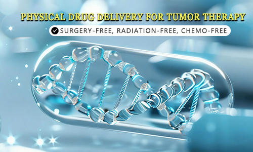 A technique that uses physical drug loading to treat tumors, without surgery, chemotherapy, or radiotherapy.